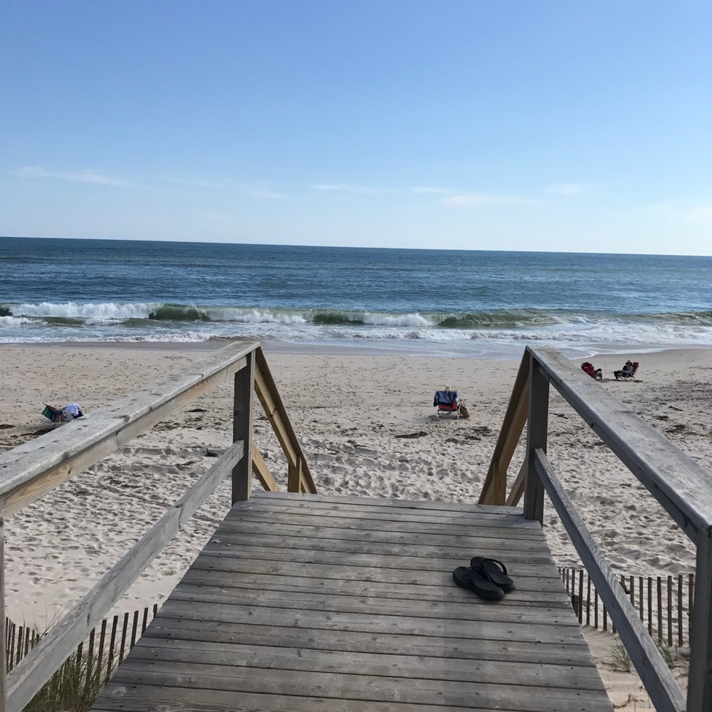 Meet your Posher, Lacy